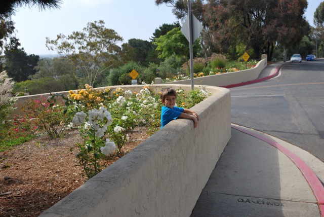 Looking over the wall