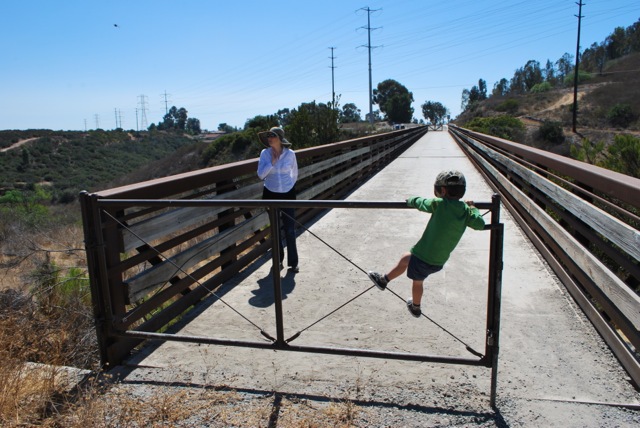 bridge
