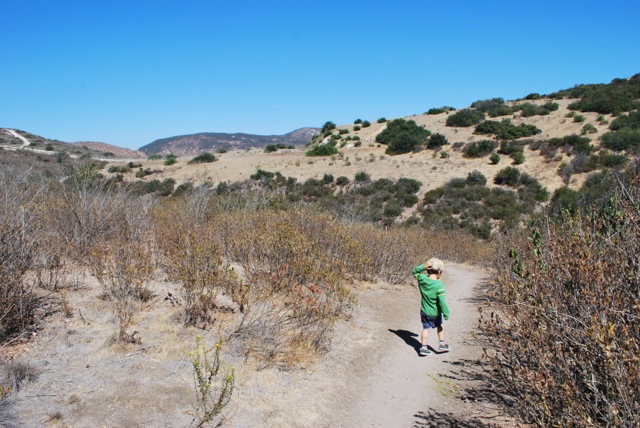 trail