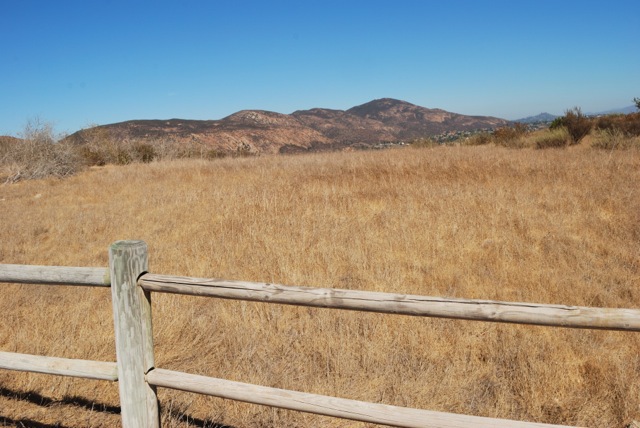 fence