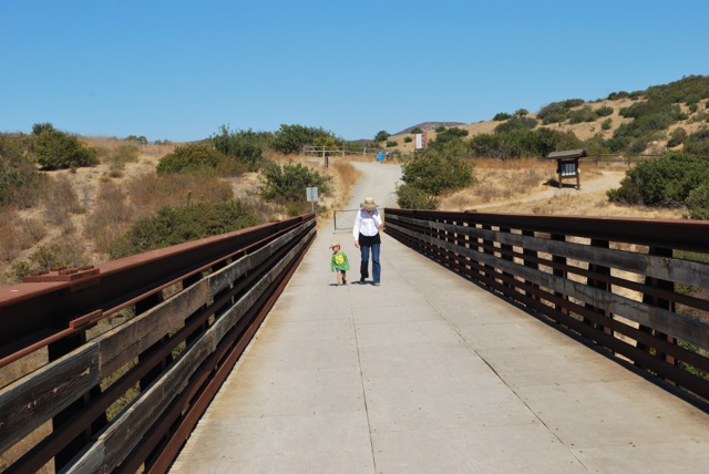 bridge