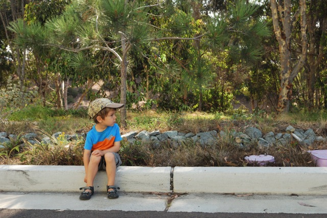 Waiting by the curb