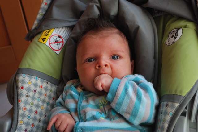 tasty hand