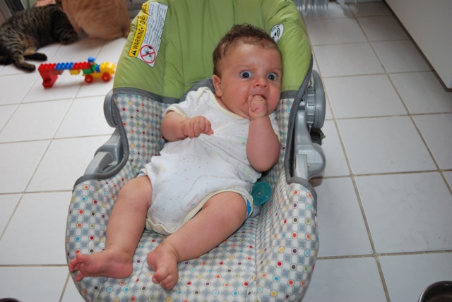 Startled