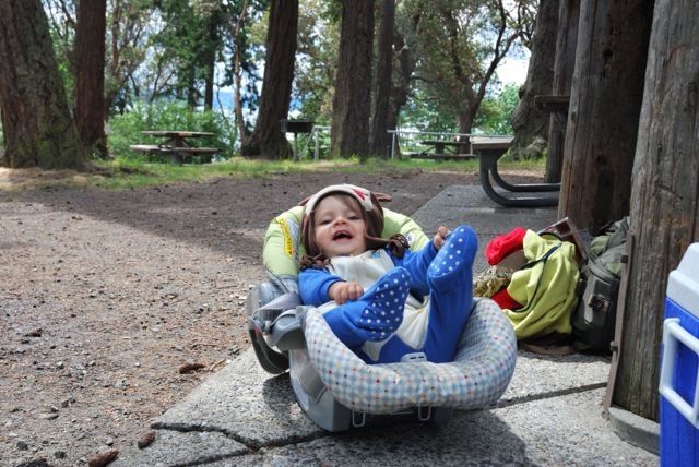 Nap in West Seattle