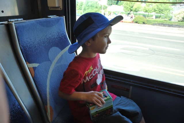 Bus