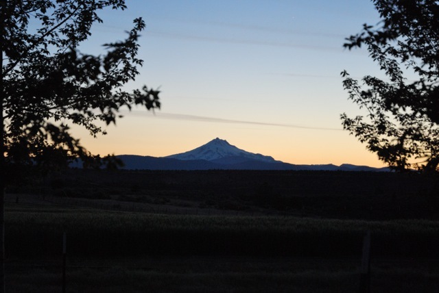 Mt Jefferson