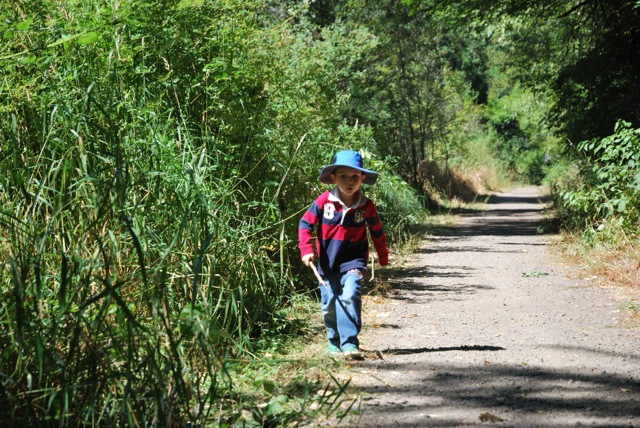 Hiking at Bryant Woods