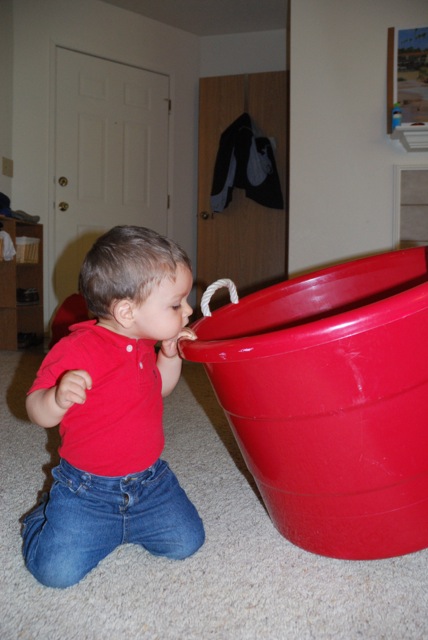 red bucket