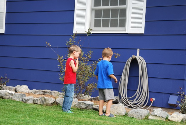Hose