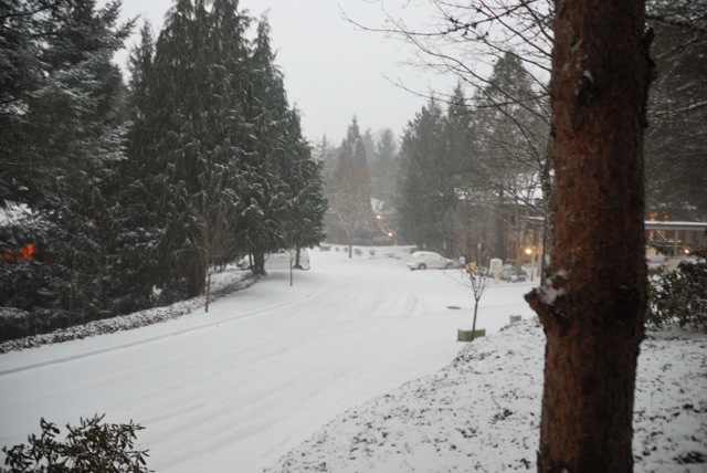Snow