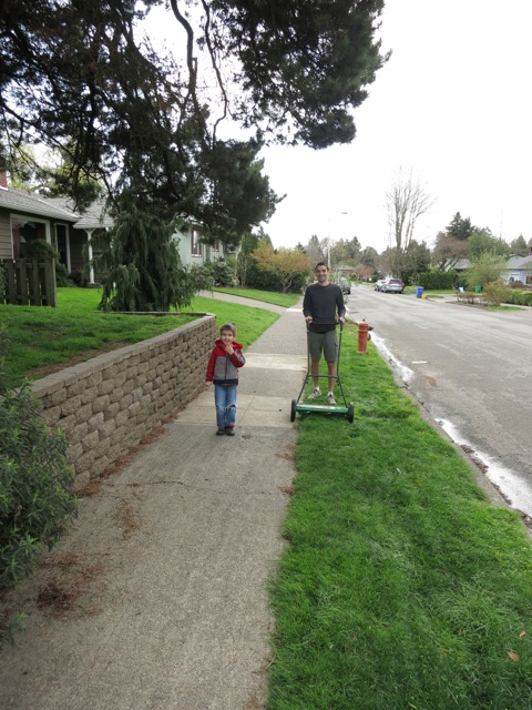mowed