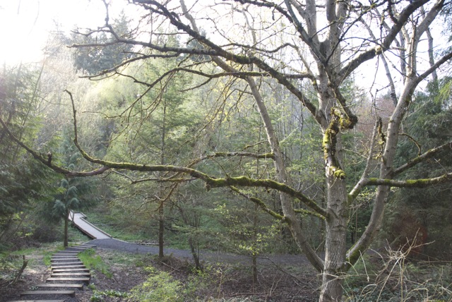 nature walk