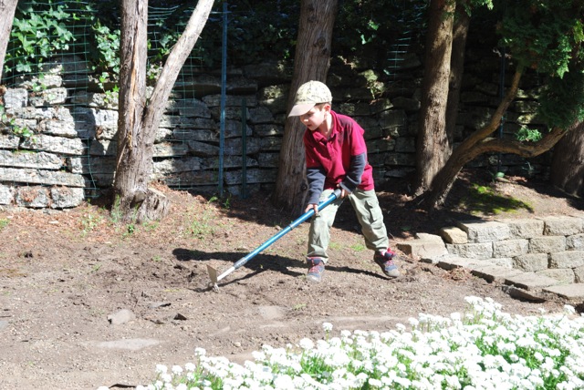 digging