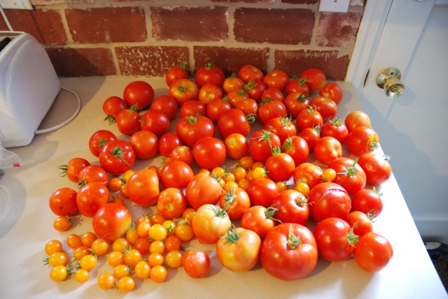 harvest