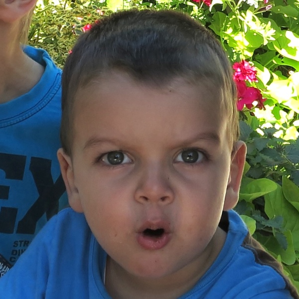 gameface