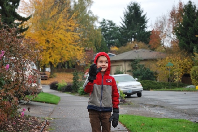 fall walk