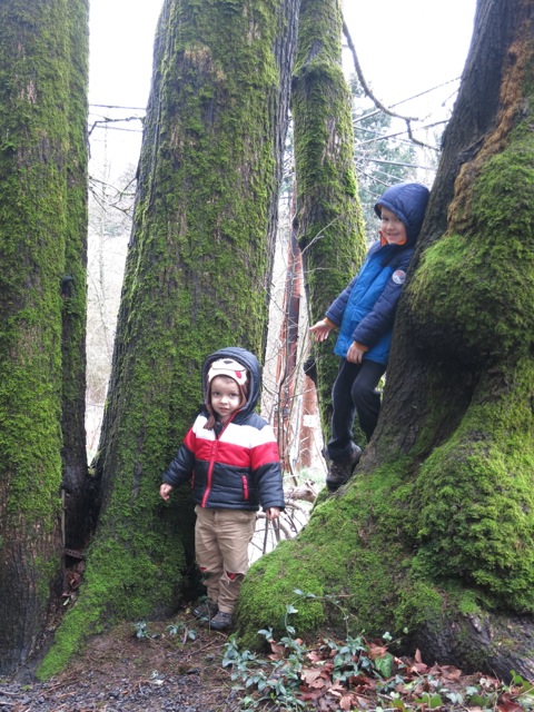 Winter walk in the tree