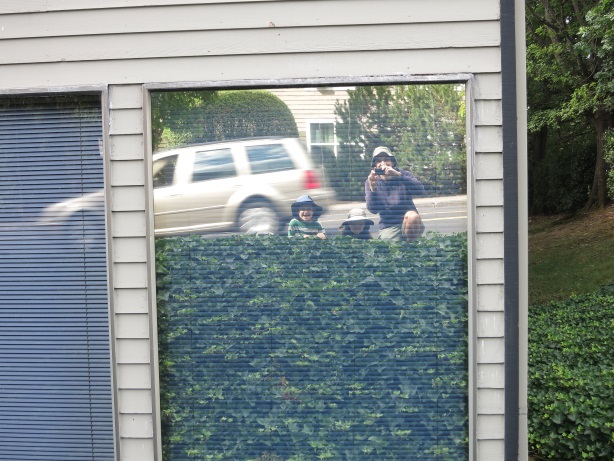 reflection