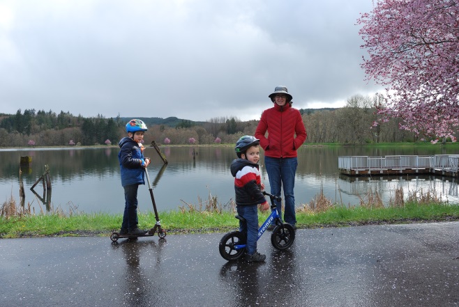 vernonia lake